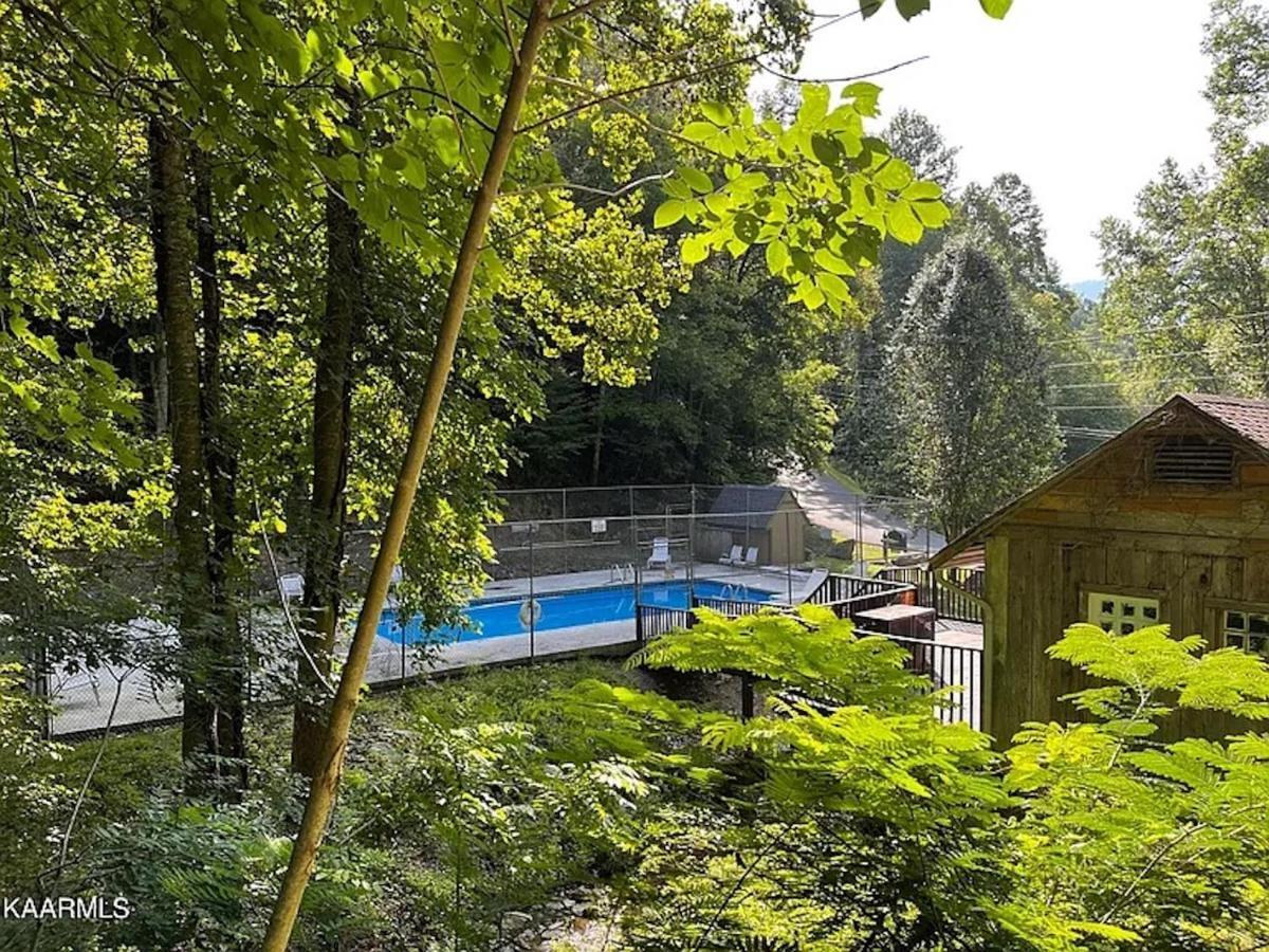 Hawks View Gatlinburg Mountain Cabin Dış mekan fotoğraf